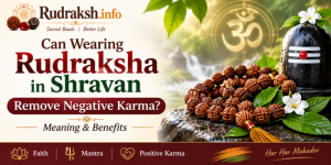 Can Rudraksha in Shravan Remove Negative Karma? Meaning & Benefits